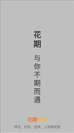 花期货源