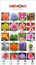 花期货源