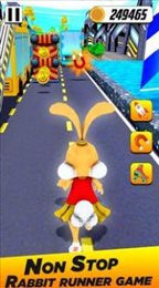 地铁兔子跑酷(Rabbit Run 3d - Runner Games 202)