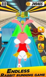 兔子快跑3D(Rabbit Run 3d - Runner Games 202)