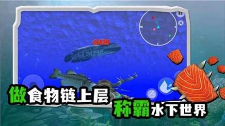 海底大猎杀模拟器(Spearfishing2)