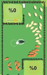 牧羊犬分羊(lampherding)