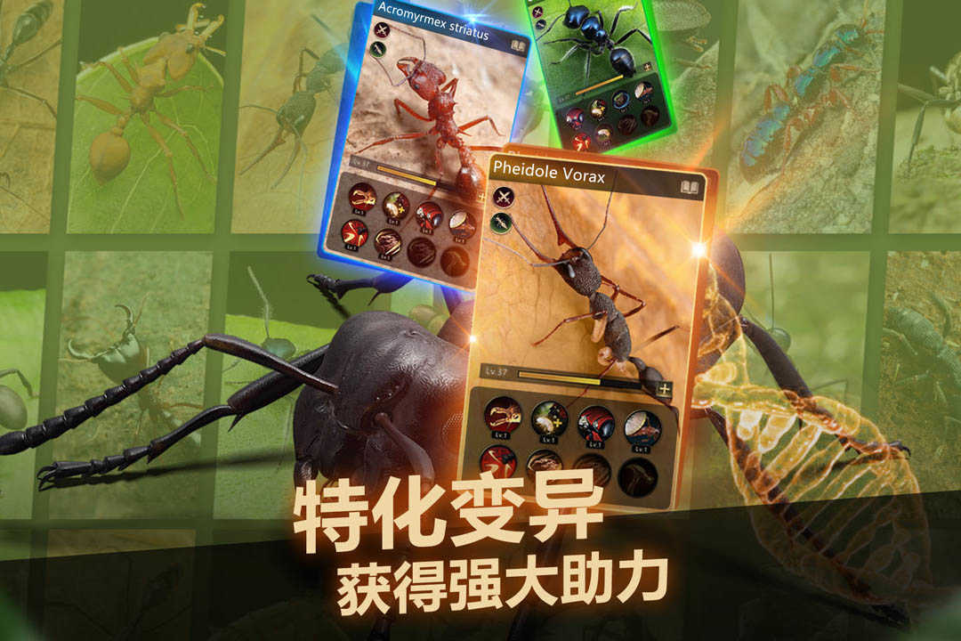 小小蚁国最新版