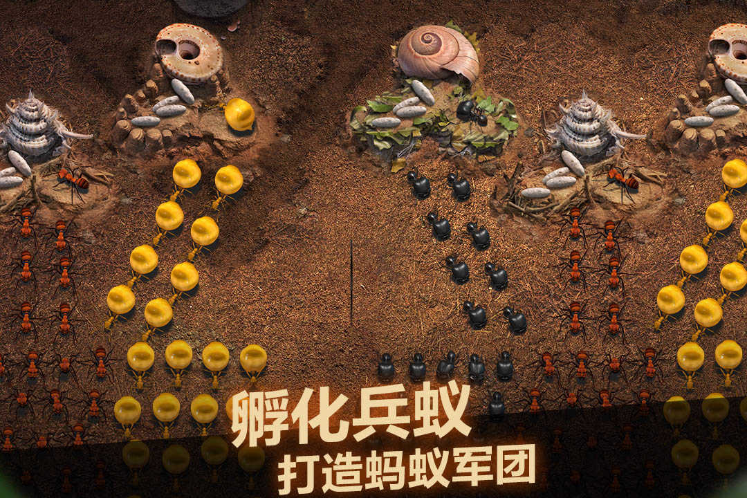 小小蚁国最新版