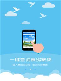 中鸽直播网(中鸽网)