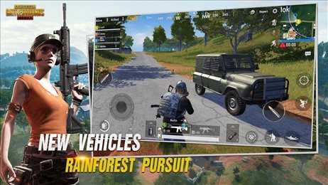 MaxFpsPubgMobile