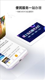 邳州银杏甲天下app