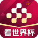 央视频app