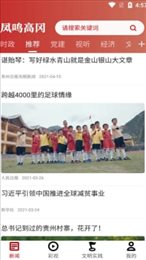 凤鸣高冈