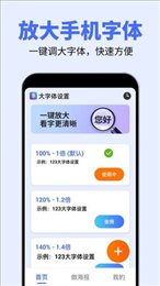 大字体设置
