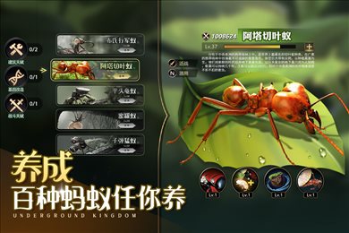 小小蚁国内购破解版