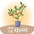花椒树贷款平台