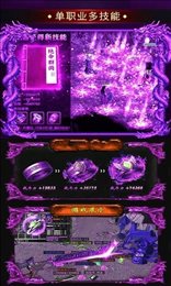 紫玩游戏盒子