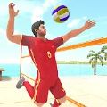 排球3D离线模拟(Volley Ball Project)