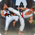 空手道格斗大師(Karate Fighting 2021)