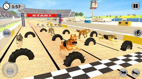竞争对手赛狗(Rival Stars Greyhounds Dog)