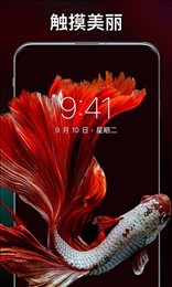 灵猫主题壁纸