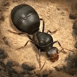 荒野蚂蚁模拟v1.0