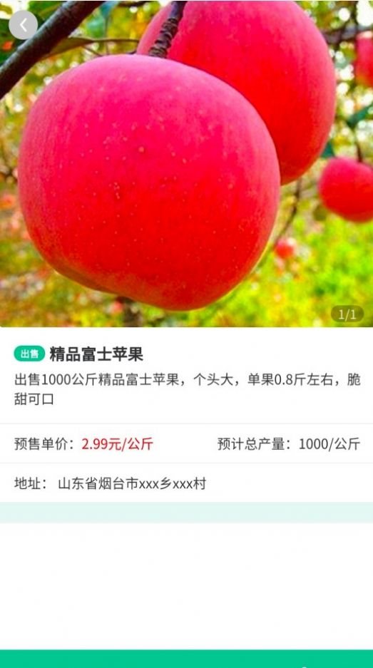 魔盟网