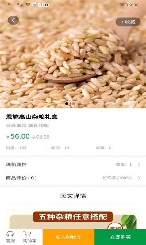 魔盟网