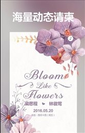 婚礼精选