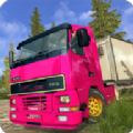 小货车驾驶运输模拟器(Cargo Truck Driving Simulator 2019)