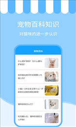 人猫交流神器