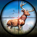 地铁鹿狩猎者(Subway Deer Hunter)
