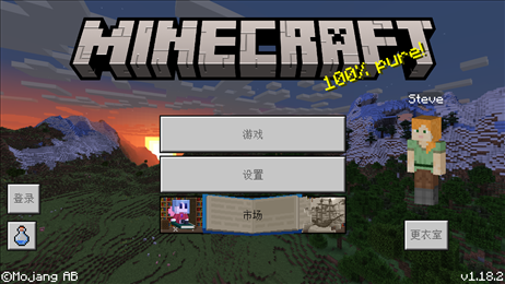 com.mojang.minecraftpe1.19(Minecraft)