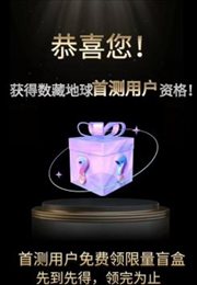 数藏地球