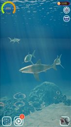 鲨鱼海洋(Shark)