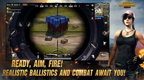 pubgmobile.com国际服