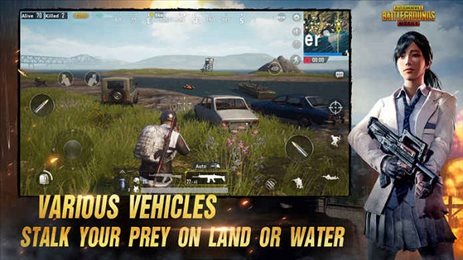 pubgmobile.com国际服