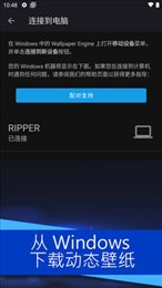 麻匪壁纸(壁纸引擎)