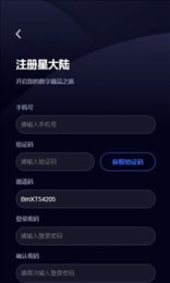 星大陆数藏