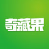 奇藏果数藏平台