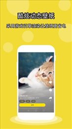 酷壁纸app