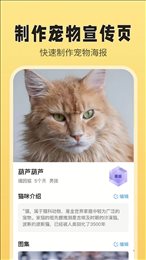 猫老板