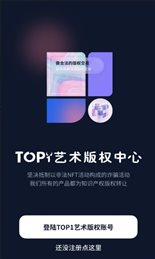 top1数字藏品