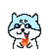 创意猫数字藏品