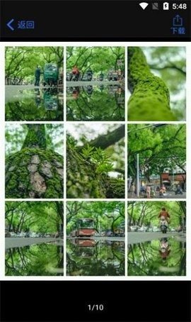 魔盟网