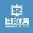 哇哈体育手机版
