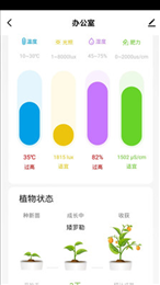 小真智家