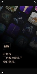 鲸探数字藏品