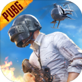 坤坤PUBG云端一体直装