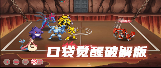 口袋觉醒破解版
