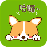 爱猫狗翻译