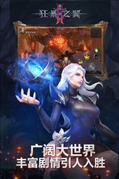 狂暴之翼2九游版