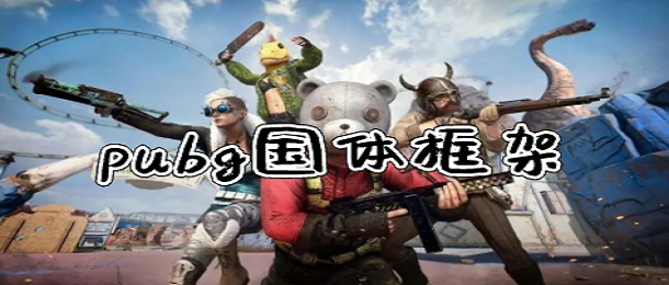 pubg国体框架