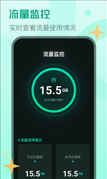 麻宝流量大师